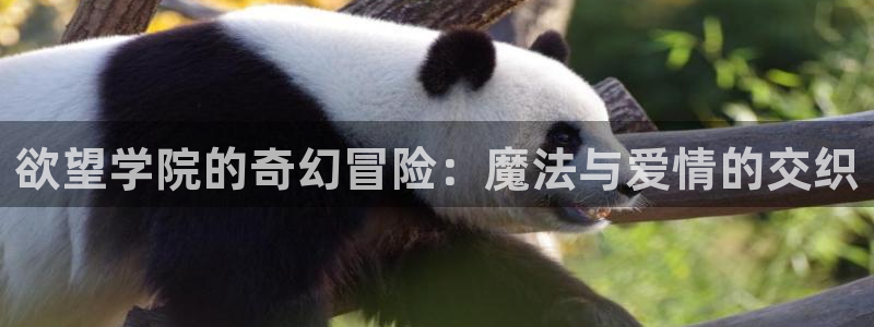 78动漫app官方正版下载